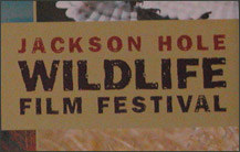 jackson hole wildlife film festival